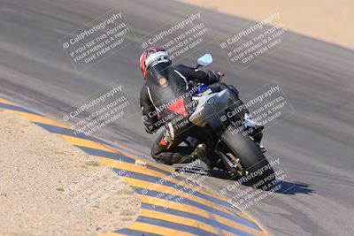 media/Nov-12-2023-SoCal Trackdays (Sun) [[5d1fba4e7d]]/Turn 10 Backside (115pm)/